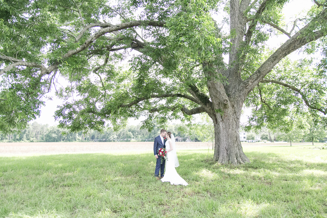 estate wedding, oak tree wedding, jenn eddine photography