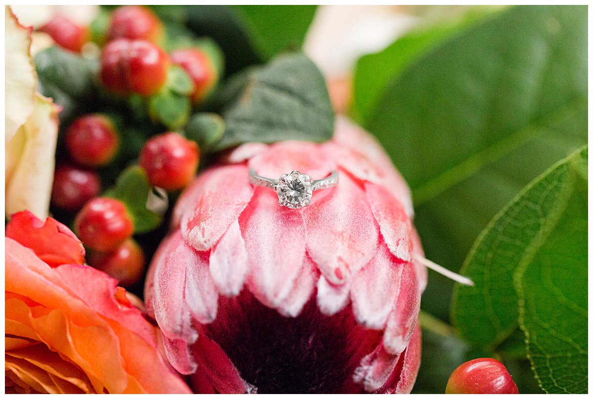 closeup striking image of engagement ring perched on a large pink protea in the middle of bride's bouquet