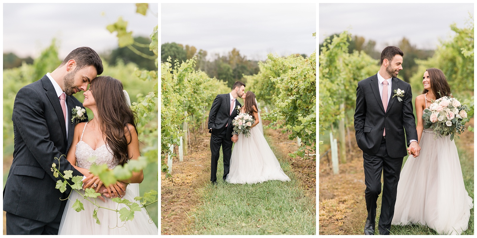 romantic wedding portraits of bride and groom walking between the vines at childress vineyards wedding and events in lexington north carolina
