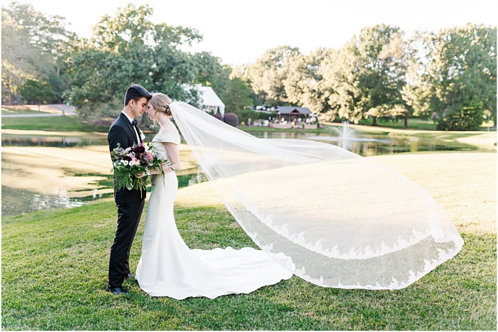 Picture of Bride and Groom standing with a huge fluffed veil for a blog on wedding day tips