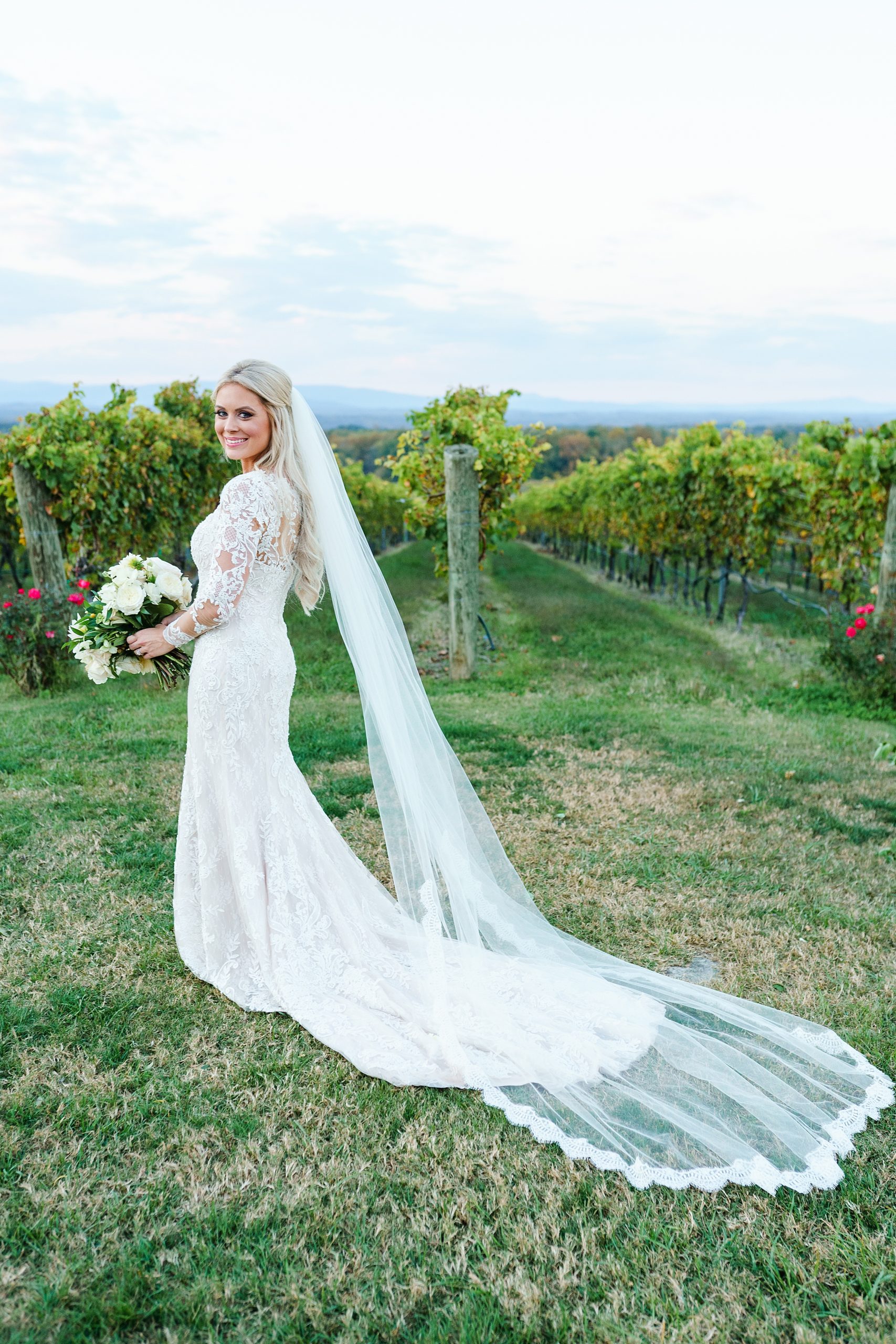 bride with long veil standing in the vineyards at Raffaldini Vineyards Wedding venue